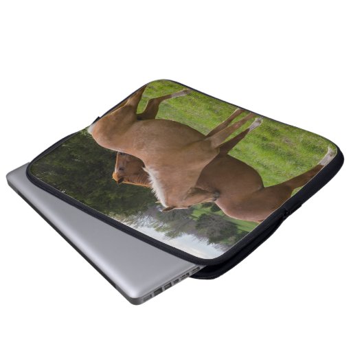 Beauties Laptopschutzhülle (Vorne Knopf)