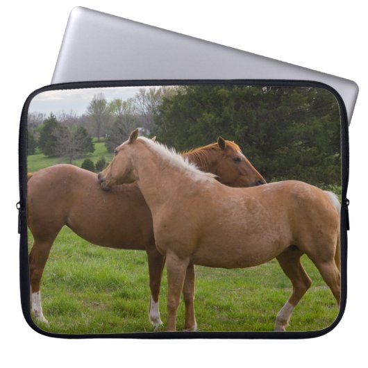 Beauties Laptopschutzhülle (Vorderseite)