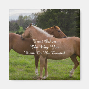 Beauties Leckerei Sonstiges Magnet