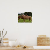 Beauties Poster (Küche)