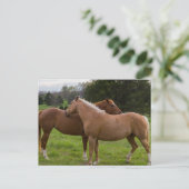 Beauties Postkarte (Stehend Vorderseite)