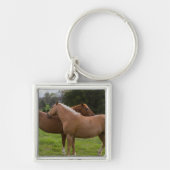 Beauties Schlüsselanhänger (Vorne)