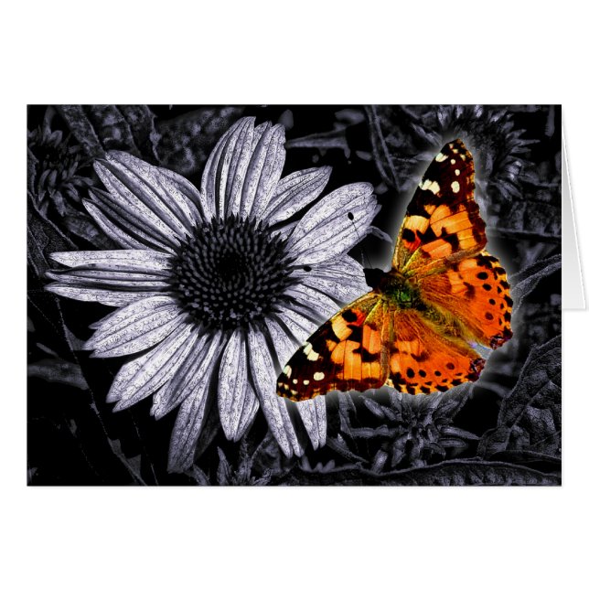 Beautifly (Vorderseite (Horizontal))