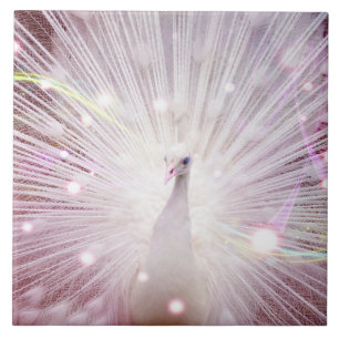 Beautifu lWild Vogel Fliese