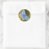 Beautiful Adonis Blue Butterfly Stickers (Tasche)