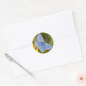 Beautiful Adonis Blue Butterfly Stickers (Umschlag)