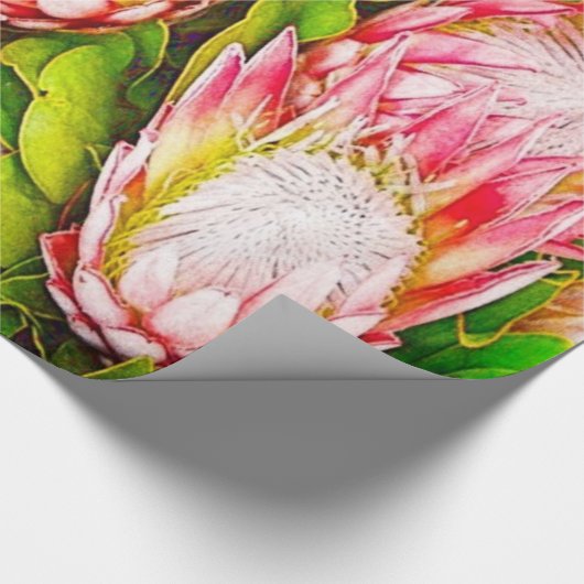 Beautiful Africa Protea Pattern Geschenkpapier (Ecke)