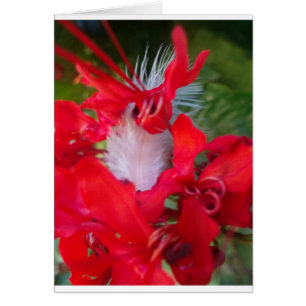 Beautiful Alien Crimson.jpg