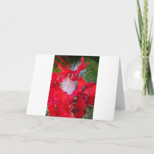 Beautiful Alien Crimson.jpg Karte