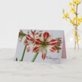Beautiful Amaryllis Blume & Costum Geburtstag Karte (Gelbe Blume)