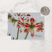 Beautiful Amaryllis Blume & Costum Geburtstag Mitteilungskarte (Vorderseite/Rückseite Beispiel)