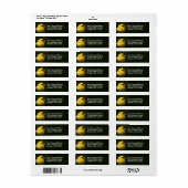 Beautiful American Goldfinch Songbird (Vorne)