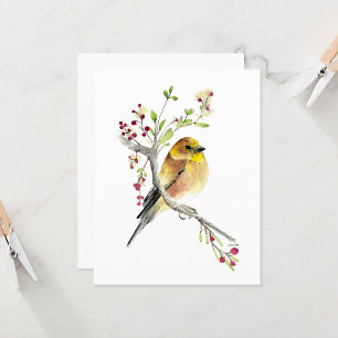 Beautiful American Goldfinch Songbird Note Card