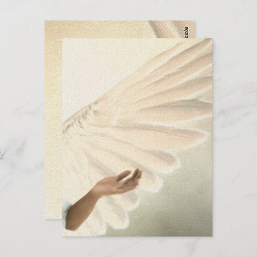 Beautiful Angel Wings - Kümmre & Ruhe Postkarte (Vorne/Hinten)