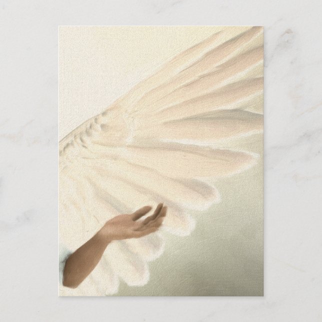 Beautiful Angel Wings - Kümmre & Ruhe Postkarte (Vorderseite)