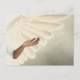 Beautiful Angel Wings - Kümmre & Ruhe Postkarte