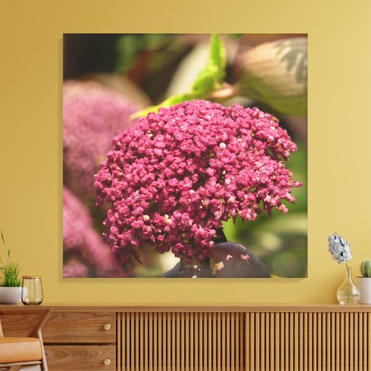 Beautiful Angelica Flower  Leinwanddruck (Insitu (Wohnzimmer))