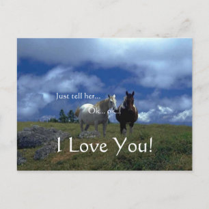 Beautiful Animal Cards Feiertagspostkarte