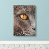 Beautiful Animal Face Canvas Print Leinwanddruck (Insitu (Holzboden))