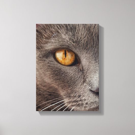 Beautiful Animal Face Canvas Print Leinwanddruck (Vorderseite)