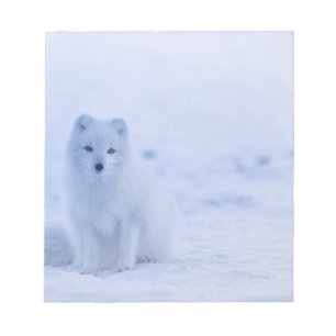 Beautiful Arctic Fox Notizblock