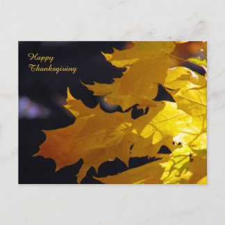 Beautiful Autumn Leaves Feiertagspostkarte