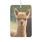 Beautiful Baby Alpaca Air Freshener Autolufterfrischer (Vorderseite)