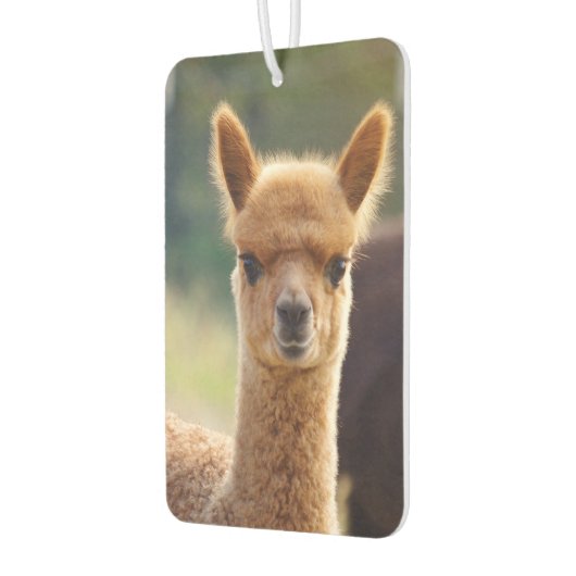 Beautiful Baby Alpaca Air Freshener Autolufterfrischer (Links)