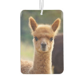 Beautiful Baby Alpaca Air Freshener Autolufterfrischer (Rückseite)