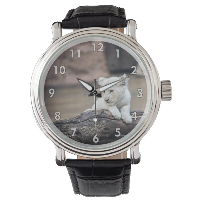 Beautiful Baby White Lion Cub Armbanduhr (Vorderseite)