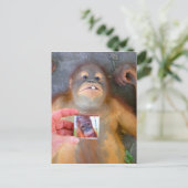 Beautiful Baby Zazzle Fan Postkarte (Stehend Vorderseite)