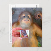 Beautiful Baby Zazzle Fan Postkarte (Vorne/Hinten)