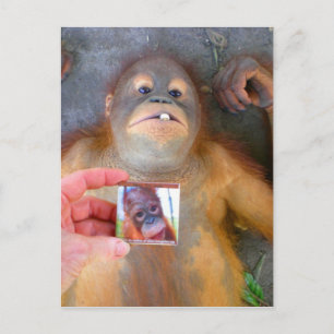 Beautiful Baby Zazzle Fan Postkarte