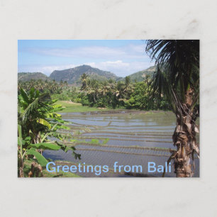 Beautiful Bali Rice Paddies Postkarte
