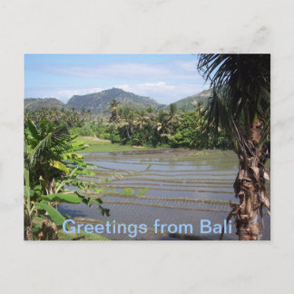 Beautiful Bali Rice Paddies Postkarte