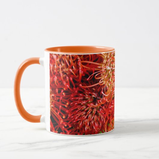 ~ Beautiful Banksia ~ Tasse (Links)