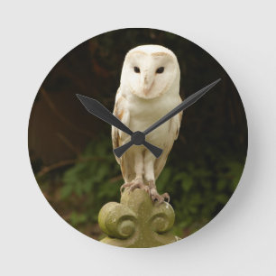 Beautiful Barn Owl Wall Clock Runde Wanduhr