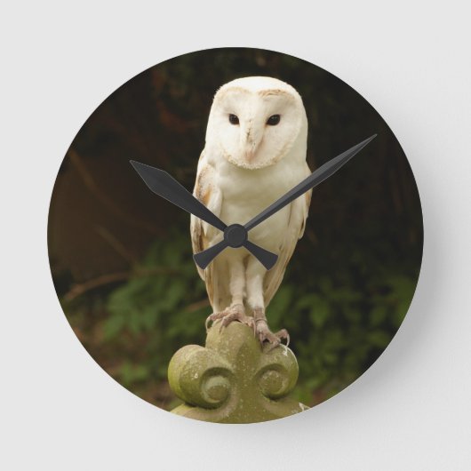 Beautiful Barn Owl Wall Clock Runde Wanduhr (Vorderseite)
