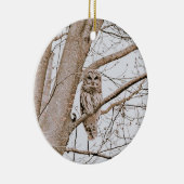 Beautiful Barred Owl Audubon Weihnachten Keramik Ornament (Rechts)