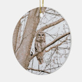 Beautiful Barred Owl Audubon Weihnachten Keramik Ornament (Links)