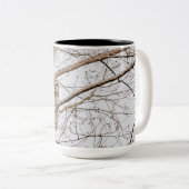 Beautiful Barred Owl Audubon Zweifarbige Tasse (VorderseiteRechts)