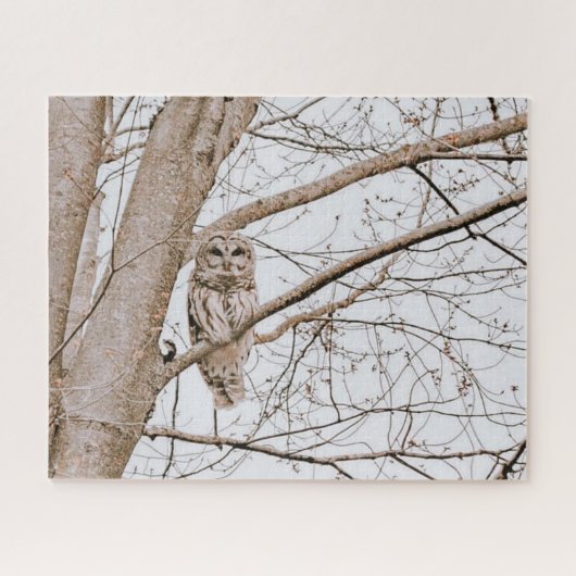 Beautiful Barred Owl Michigan Woods Audubon Puzzle (Horizontal)