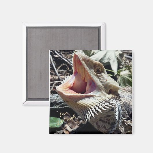 Beautiful Bearded Dragon Lil' Murph Magnet (Vorderseite/Rückseite)