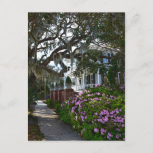 Beautiful Beaufort, South Carolina Postkarte