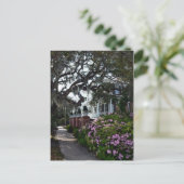 Beautiful Beaufort, South Carolina Postkarte (Stehend Vorderseite)
