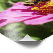 Beautiful Bee Foto Print (Ecke)