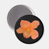 Beautiful Begonia Magnet (Vorderseite/Rückseite)