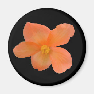 Beautiful Begonia Magnet