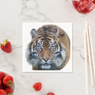 Beautiful Bengal Tiger Face Photo Serviette