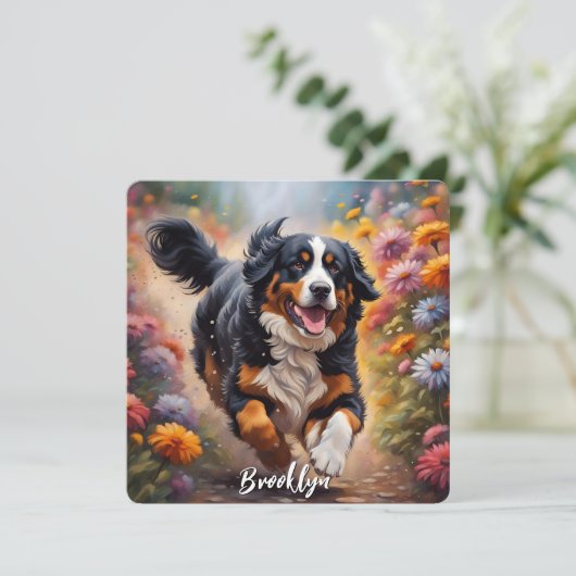 Beautiful Bernese Mountain Dog (Stehend Vorderseite)